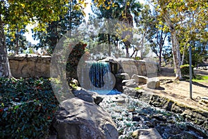 A waterfall over a stone lagoon into a river surrounded by lush green and autumn colored trees, plants with red berries