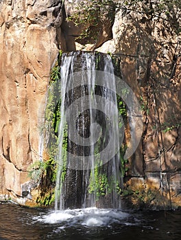 Waterfall at Palm Beach Zoo with Slow Shutter Speed