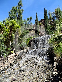Waterfall, Palmitos Park