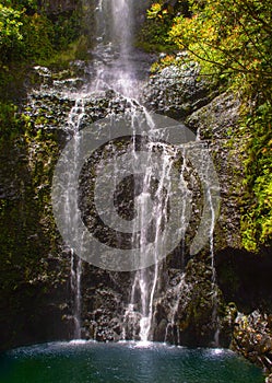 Waterfall in Paridise