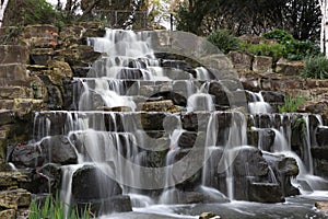 Waterfall in the park, fauna