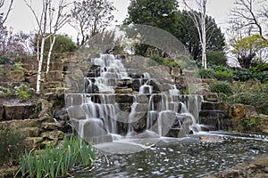 Waterfall in the park, fauna