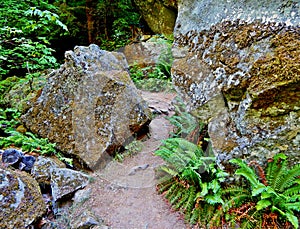 On the Waterfall Pathway