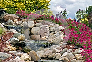 waterfall and petunias in rock garden