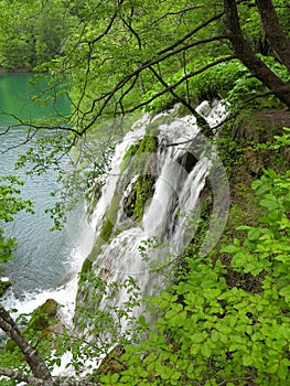 Waterfall in Plitvice National Park