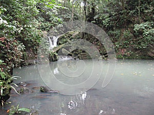 A waterfall and pond in the forest at Makiling botanical gardens, Philippines