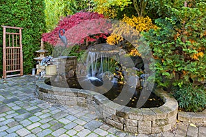 Waterfall Pond in Home Backyard during Fall Season