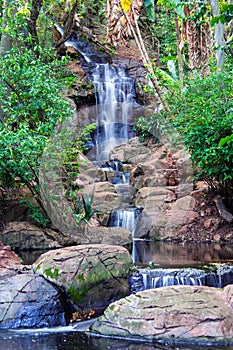 Waterfall in the Pretoria Botanical Garden.