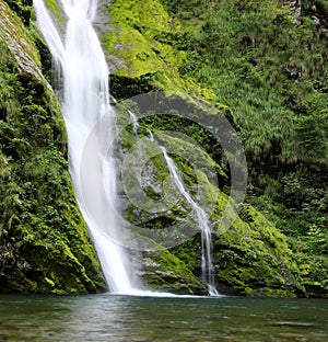 waterfall of pure fresh water in the middle of the forest