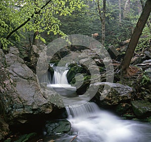 Cascada después la lluvia 