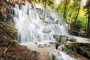 Waterfall in the Rain Forest