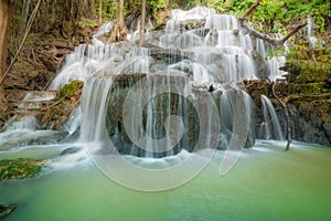 Waterfall in the Rain Forest