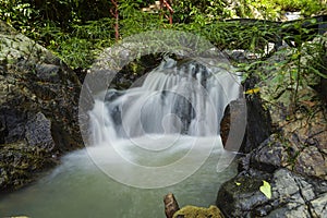 Waterfall in the Rain Forest