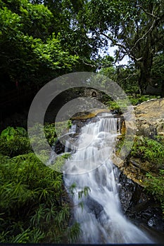 Waterfall in the Rain Forest