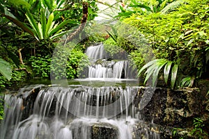 La imagen pacífica de la cascada en el bosque de lluvia