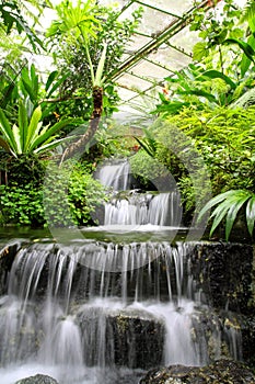 Waterfall in the Rain Forest