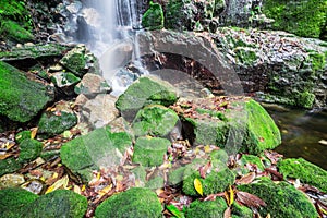 Waterfall in rain forest
