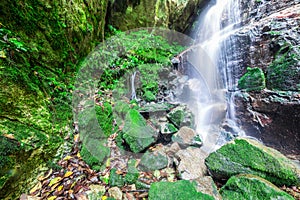 Waterfall in rain forest