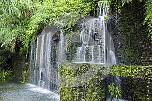 Waterfall in the Rain Forest