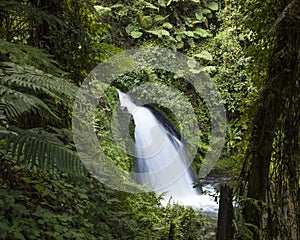 Waterfall in rain forest