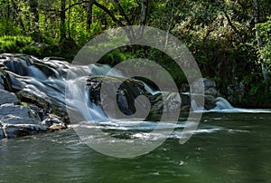 Waterfall in the Rain Forest. Waterfall photo