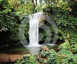 Cascata. cascata la pioggia foresta il segreto cascata laguna vecchio rocce verde alberi la giungla 