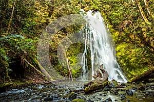 Waterfall in rain forest, Olympic national Park