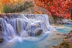 Waterfall in rain forest (Tat Kuang Si Waterfalls at Luang praba