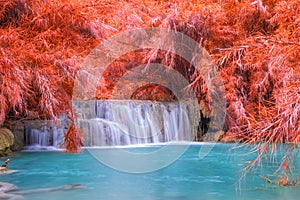 Waterfall in rain forest (Tat Kuang Si Waterfalls at Luang praba