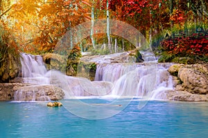 Waterfall in rain forest (Tat Kuang Si Waterfalls at Luang praba