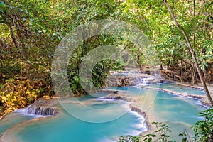 Waterfall in rain forest (Tat Kuang Si Waterfalls