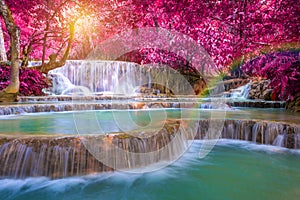 Waterfall in rain forest (Tat Kuang Si Waterfalls at Luang prabang, Laos.)