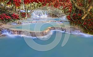 Waterfall in rain forest (Tat Kuang Si Waterfalls at Luang prabang, Laos)