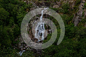 Waterfall in the Rain Forest. Tree fern waterfall tropical rain forest paradise. Fervenza de CasariÃ±os.. Fervenza da Freixa photo