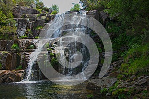 Waterfall in the Rain Forest. Tree fern waterfall tropical rain forest paradise. Fervenza de Casariños.Fervenza da Freixa