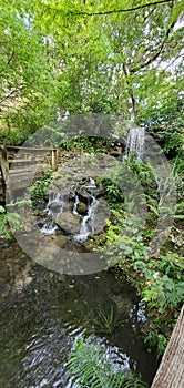 Waterfall at Rainbow River Headspring in Florida