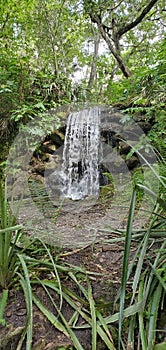 Waterfall at Rainbow River Headspring in Florida