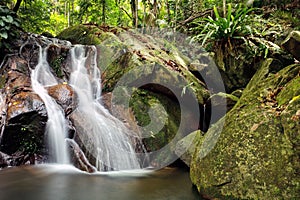 Waterfall in rainforest