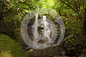 Waterfall in Rainforest