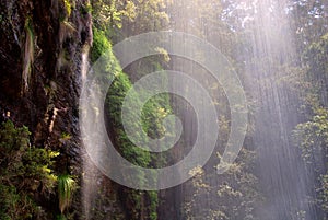 Waterfall in the Rainforest