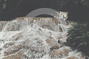 waterfall in rainforest. cascade in forest. water flowing in tropical jungle