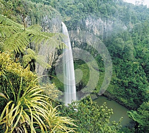 Waterfall in rainforest elevated view