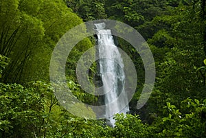 Waterfall in rainforest jungle