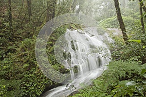Waterfall in rainforest