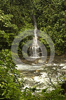 Waterfall in the rainforests of Mindo.