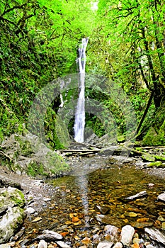 Waterfall in the rainforests Vancouver Island, Canada photo
