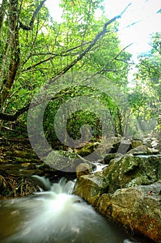 Waterfall and rainforrest