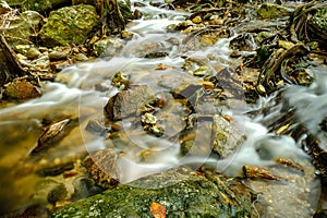Waterfall and rainforrest