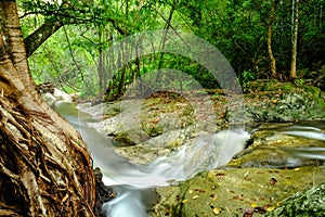Waterfall and rainforrest
