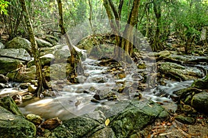 Waterfall and rainforrest